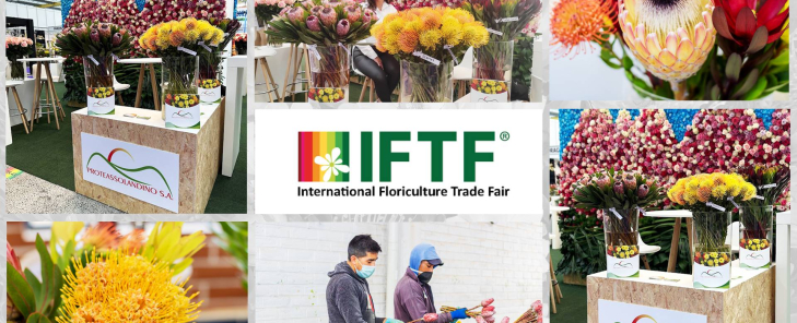 Dejando huella en la IFTF 2023