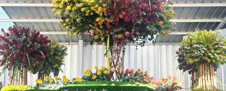 "Raíces de Empoderamiento”.