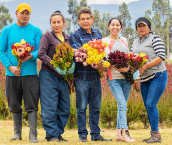 "El éxito es la suma de pequeños esfuerzos repetidos día tras día." - Robert Collier