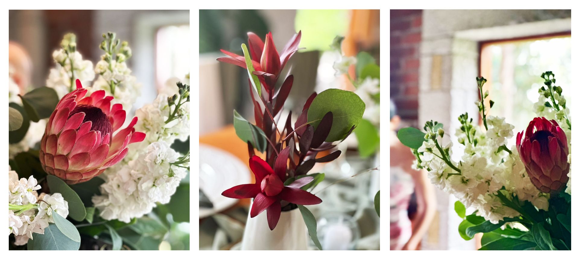 Flowers That Connect: The Floriculture on Human Relationships